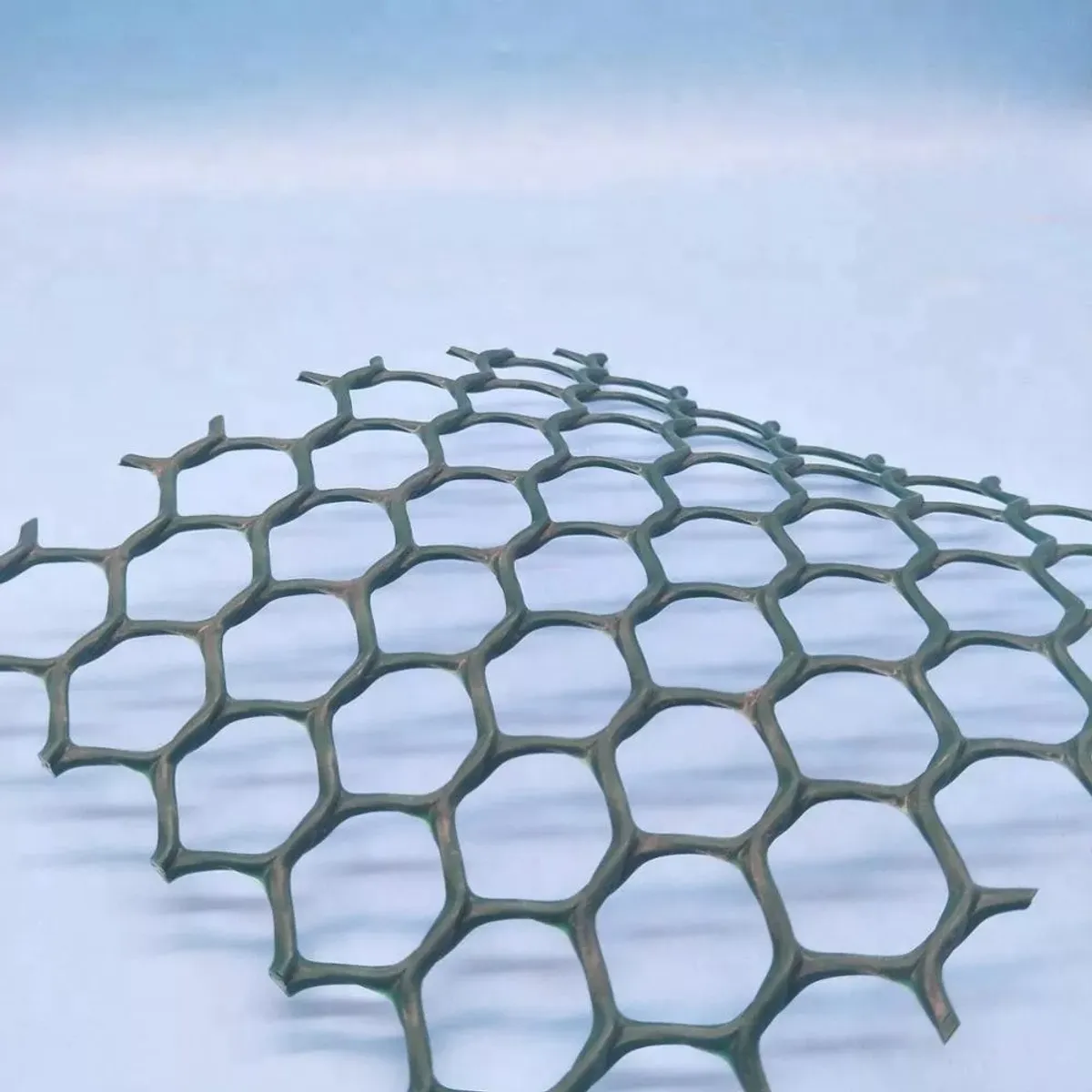 HDPE Plastic Flat Mesh (Geonet)