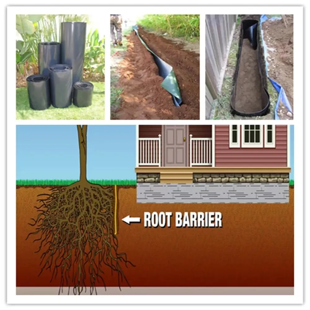 Root Barrier — More views
